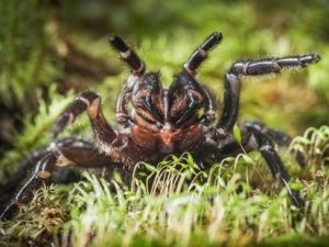 Every millimetre of sea level rise has consequences.